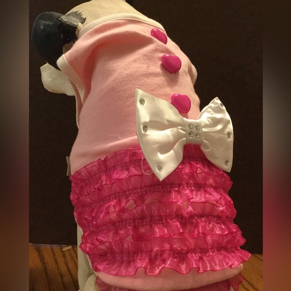 Small Dog Clothing